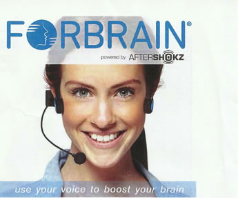 Forebrain