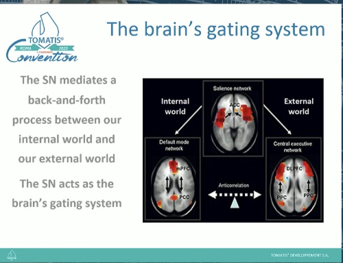 Triple Network Model, Insight, and Large-Scale Brain Organization in Autism (stanford.edu)